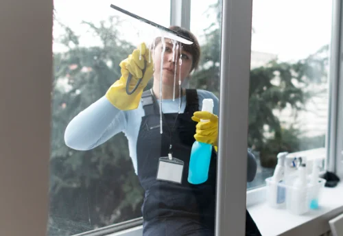 Nettoyage de vitres intérieures et extérieures à Gunsbach